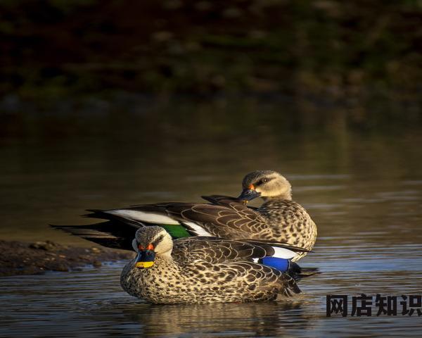 电商仓储解决方案 电商仓储三大难题的解决方式 电商仓储解决方案 电商仓储三大难题的解决方式