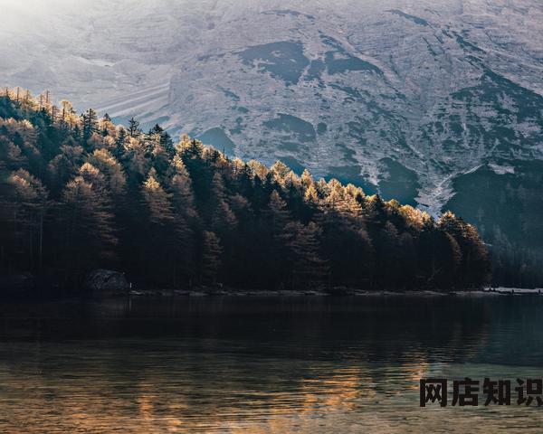 跨境电商怎么开店铺 6年跨境职场的经验详细介绍亚马逊开店的全流程