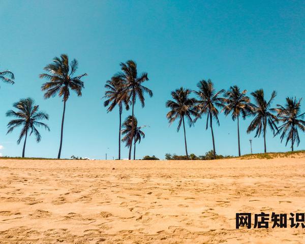 电商运营培训基地 电商培训班一般多少钱一个月(学费5000