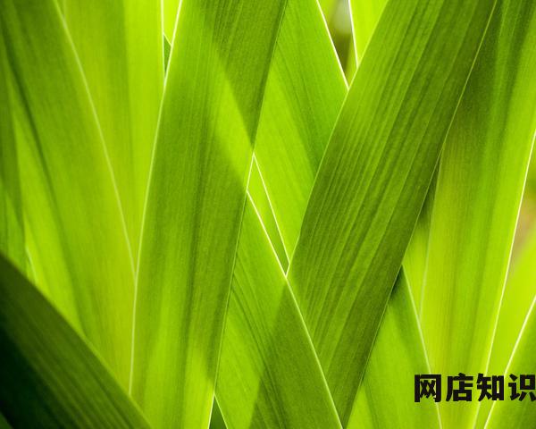 3500笔记本推荐 预算只有3500元 有哪款适合学生使用的笔记本电脑