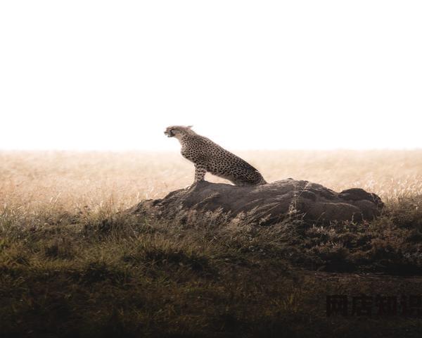 苹果IOS17什么时候发布的 2023年5月16日苹果公司公布了即将推出的 iOS 17 系统的一系列新功能 苹果IOS17什么时候发布的 2023年5月16日苹果公司公布了即将推出的 iOS 17 系统的一系列新功能