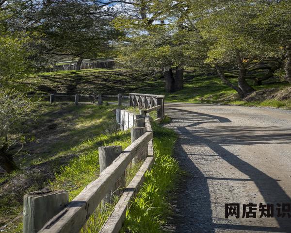 今天电商圈发生了什么？2023.8.13电商圈薇娅公司发布AI数字人直播业务