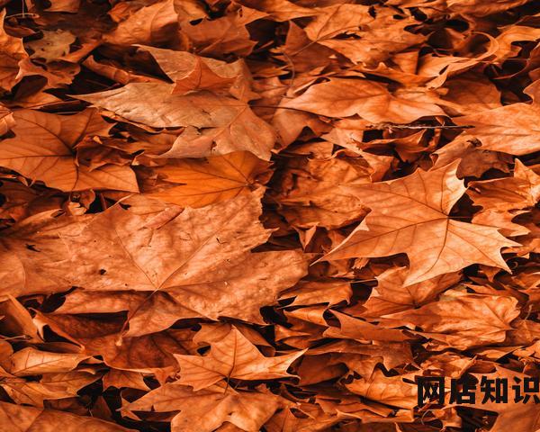 华为荣耀x30怎么样?一张图带你看懂荣耀X30八大诚意 华为荣耀x30怎么样?一张图带你看懂荣耀X30八大诚意