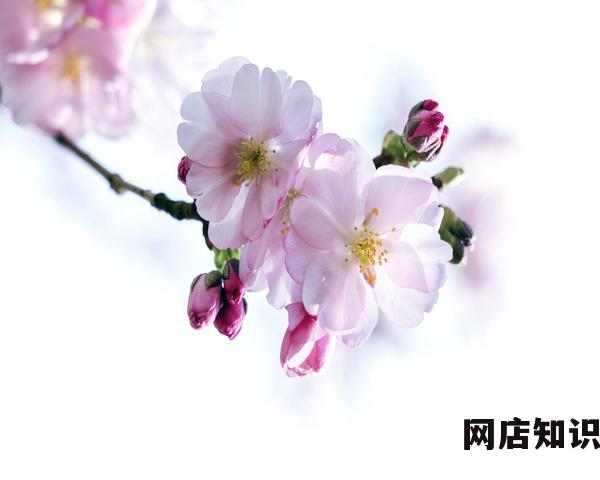 苹果笔记本推荐 2023年苹果MacBook笔记本选购攻略