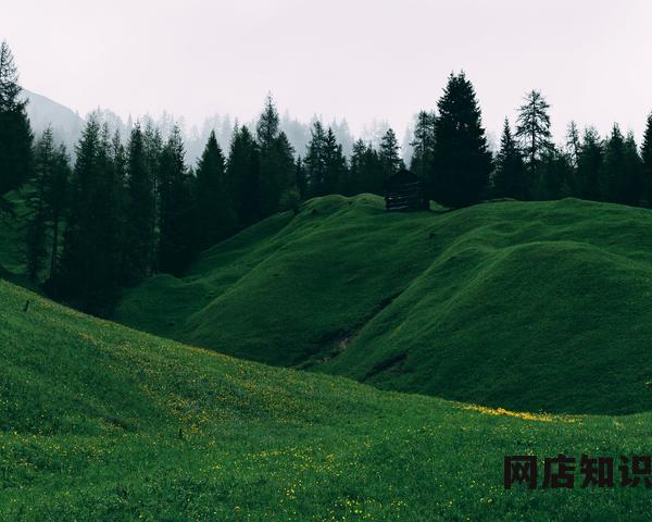 小米5手机评测 550收了部白色的小米5