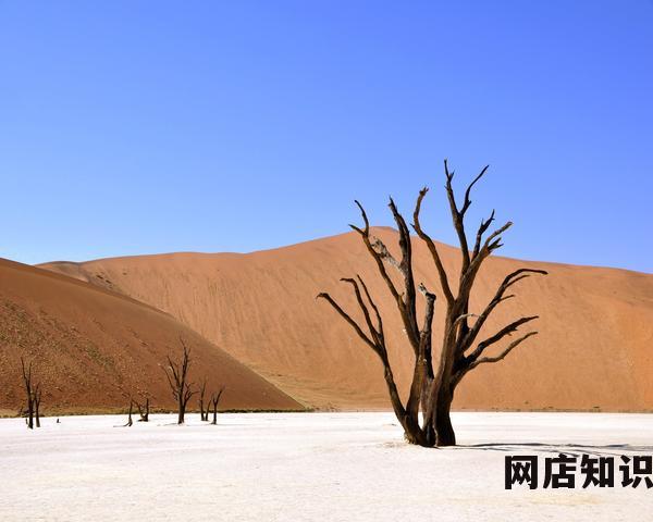 618活动是几号到几号 京东618活动 时间为5月23日20点