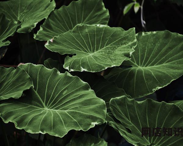 618买电脑真的便宜吗 京东还是天猫