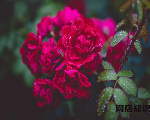 9.9元天天特价淘宝 9块9特卖上线淘宝首页 9.9元天天特价淘宝 9块9特卖上线淘宝首页