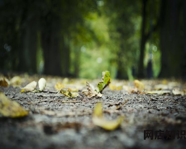 跨境电商行业，需要先进行哪些准备？ 小白入行的六个步骤