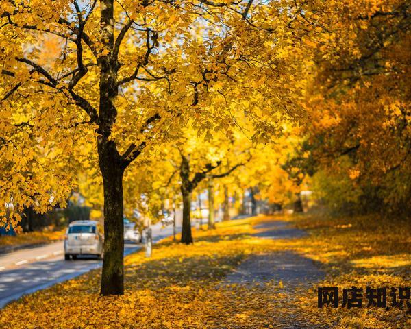 2023年苹果发布会时间 消息称苹果9月12日举办iPhone 15系列发布会