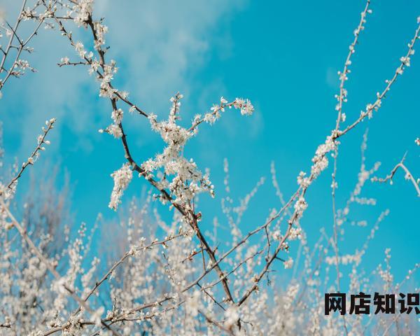 韩国人都用什么牌子的护肤品（最受欢迎的一线护肤品）