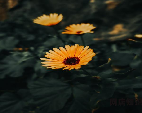 男装批发一手货源网站哪个好(十大电商拿货平台) 男装批发一手货源网站哪个好(十大电商拿货平台)