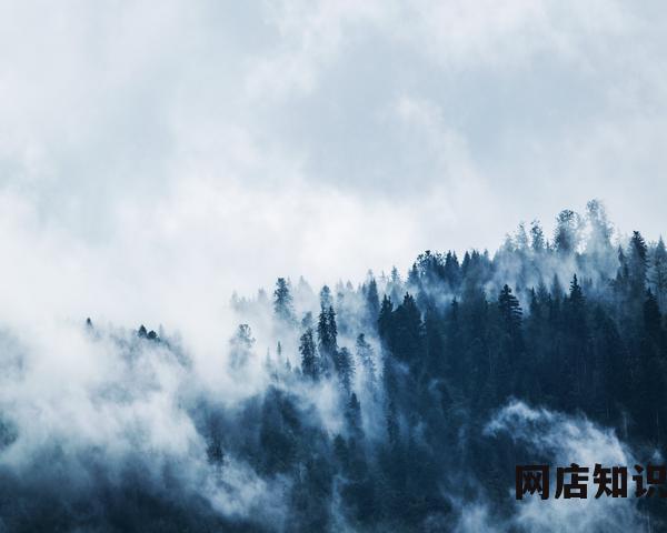为什么淘宝网图片显示不出来（宝贝图片不显示解决办法）