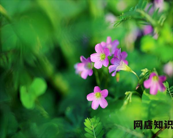 补水化妆品排行榜前十名有哪些（大牌口碑护肤品推荐）