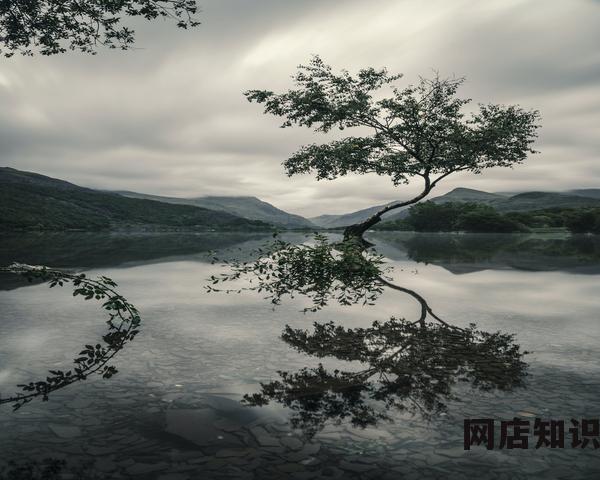 上新了故宫淘宝是真的吗（故宫淘宝网店的特点）