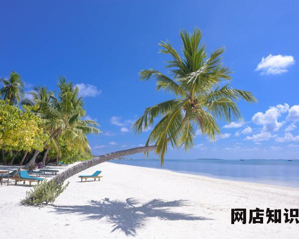 亚马逊客服怎么联系（联系亚马逊客服的方法和步骤）