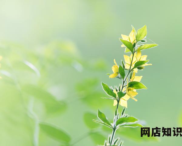 淘宝店铺标识尺寸是多少（淘宝店标的简单做法）