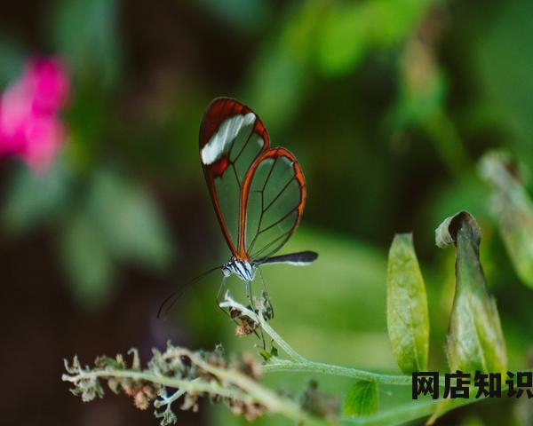 被音乐“耽误”的胡彦斌：手握10多家公司，被湖畔大学录取