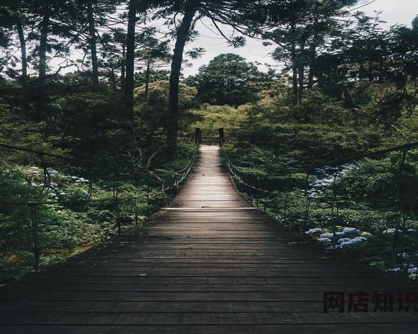出售app软件的平台有哪些（app转让交易平台推荐）