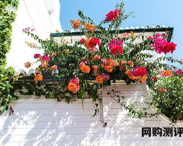 美容仪器排名前十品牌 美容仪怎么选择 美容仪器排名前十品牌 美容仪怎么选择