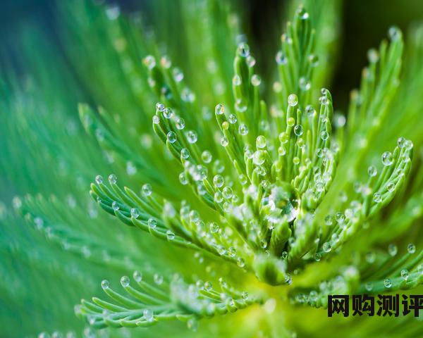 珠宝品牌排名 2023各大珠宝排行