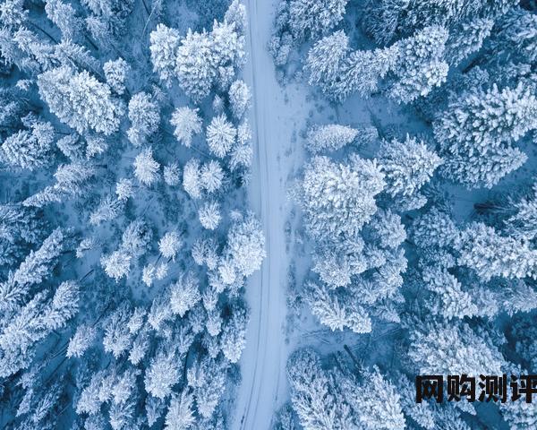 含维生素c最多的水果排名前十名