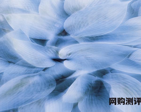 西安美食排名 西安十大特色美食小吃排行榜