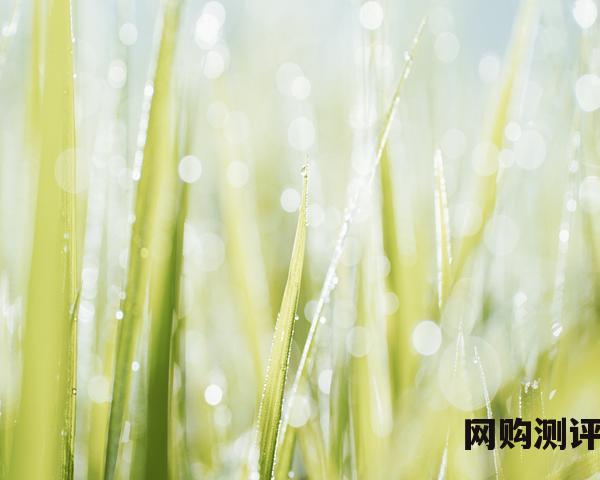窗帘一线品牌前10名排行榜 2023年窗帘十大品牌排名