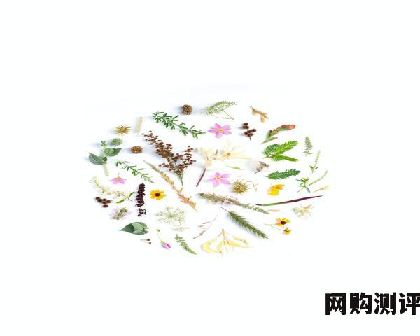 燃气灶品牌排行榜前十名 2023年燃气灶十大品牌排名