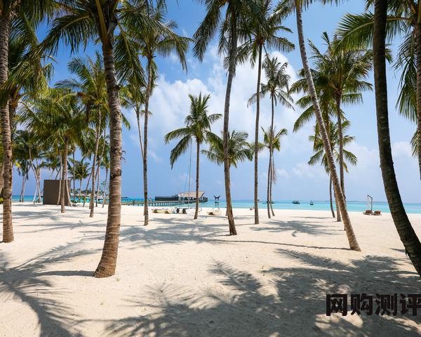 2023年除湿机品牌十大排名 什么牌子的除湿机效果好 2023年除湿机品牌十大排名 什么牌子的除湿机效果好