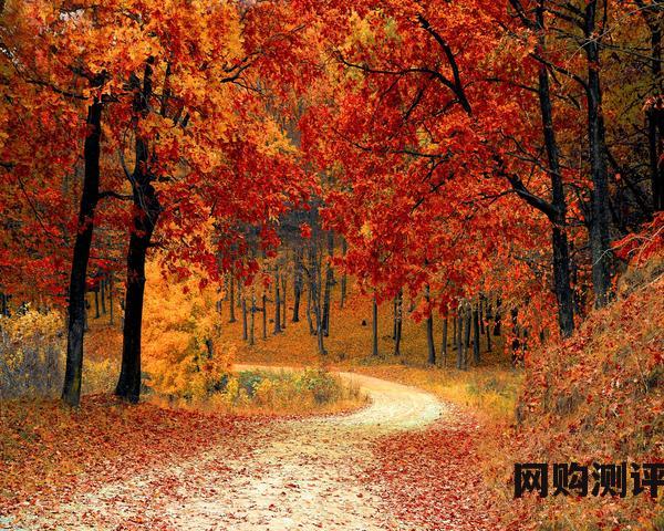 2023年淄博烧烤排名第一名 淄博人气最旺的10大烧烤店 2023年淄博烧烤排名第一名 淄博人气最旺的10大烧烤店