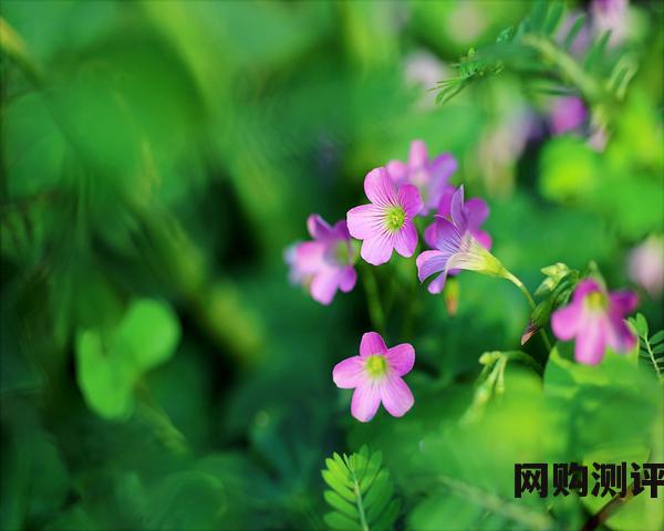 2023年智能家居品牌十大名牌排名 2023年智能家居品牌十大名牌排名
