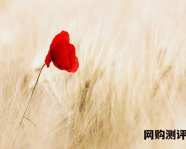 2023年抽油烟机十大品牌排名