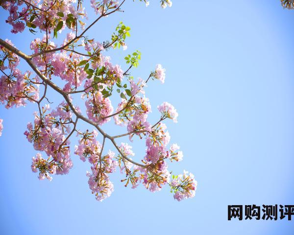 2023年冰箱品牌排名 央视榜上有名的十大国产冰箱品牌