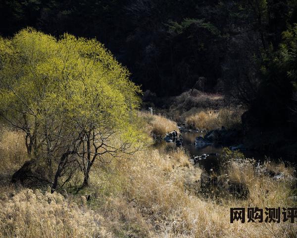 奶茶店品牌排行榜10强 “2023年度茶饮十大品牌”出炉