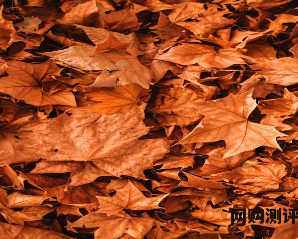 洗衣机哪个牌子好十大排名 2023年洗衣机品牌排行榜前十名