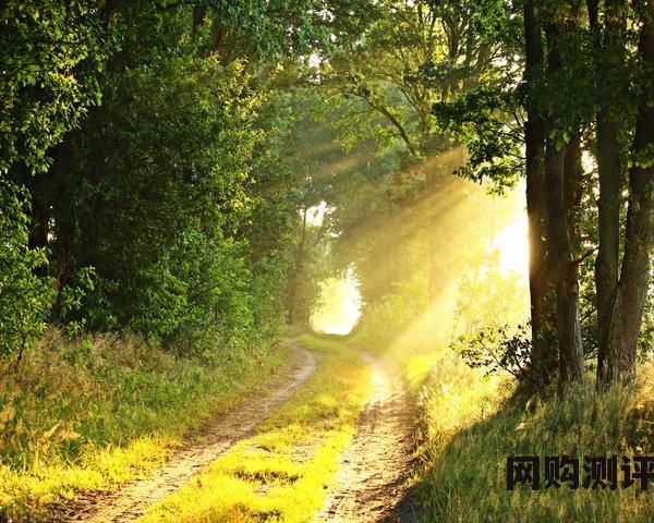 2023年电磁炉品牌排名前十名 电磁炉最新十大品牌排行榜 2023年电磁炉品牌排名前十名 电磁炉最新十大品牌排行榜