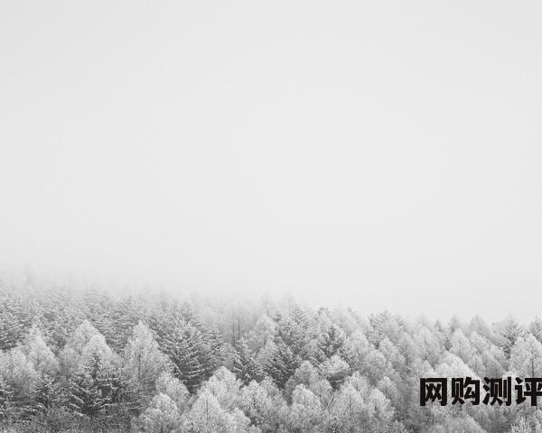 2023年抽油烟机十大公认品牌排行榜