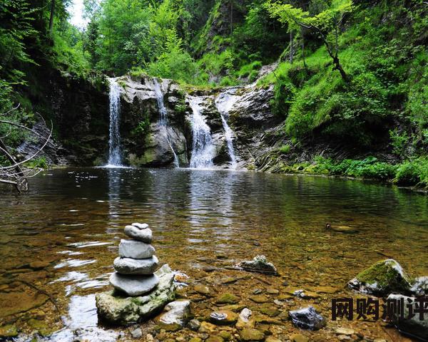 木地板十大品牌排名 2023地板十佳品牌榜单