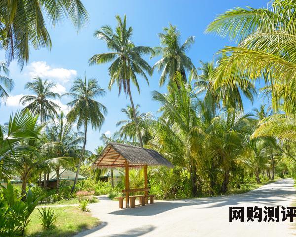 除湿机十大品牌排名 2023年除湿机/抽湿机排行榜 除湿机十大品牌排名 2023年除湿机/抽湿机排行榜