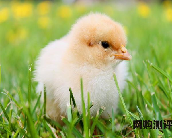 太阳能热水器十大品牌排名2023年