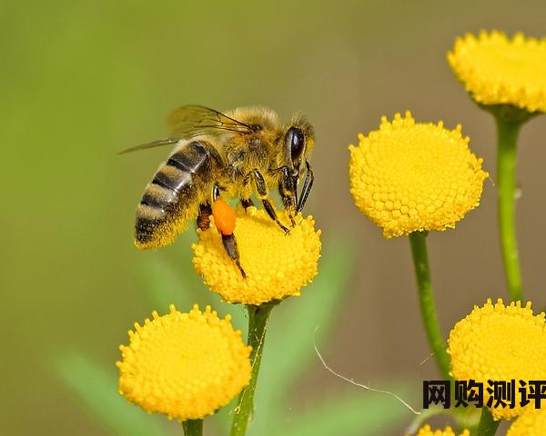 2023年广东佛山瓷砖十大品牌排名 装修瓷砖怎么选