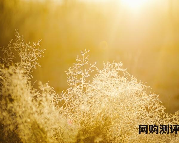 电视品牌十大排名榜