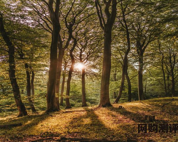 2023年工业除湿机品牌排名 掌握六大选购技巧教你选，全线排雷！