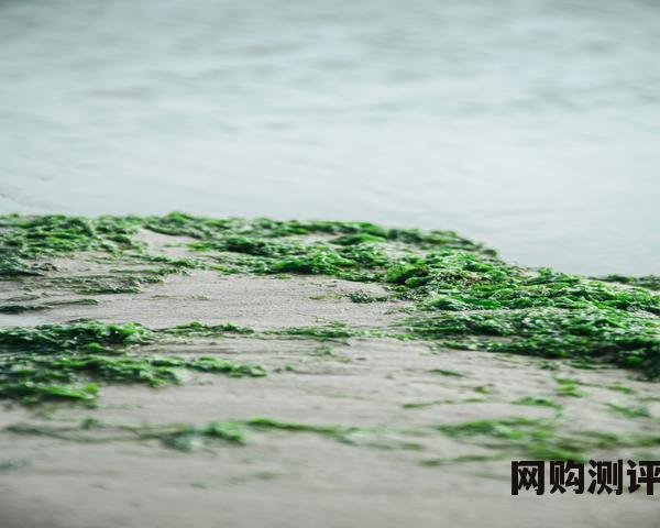 2023年沈阳五星级酒店排名一览表 2023年沈阳五星级酒店排名一览表