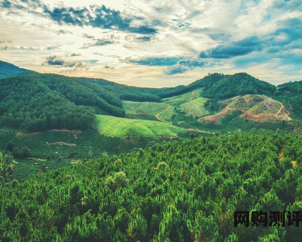 2023年笔记本电脑质量十大排名 笔记本电脑性价比排行榜前十名