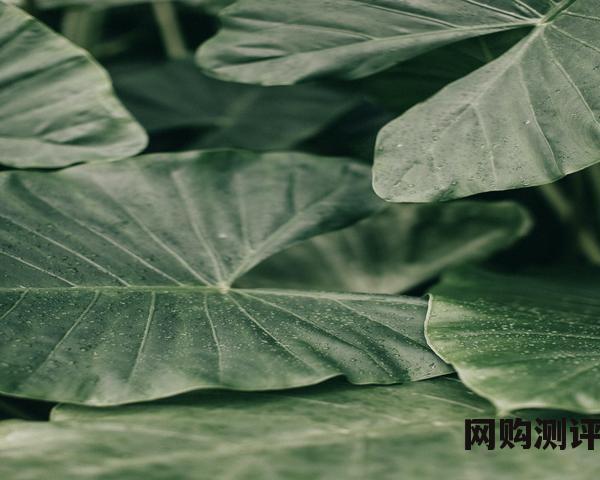 一线化妆品品牌排名榜(国际十大化妆品品牌) 一线化妆品品牌排名榜(国际十大化妆品品牌)