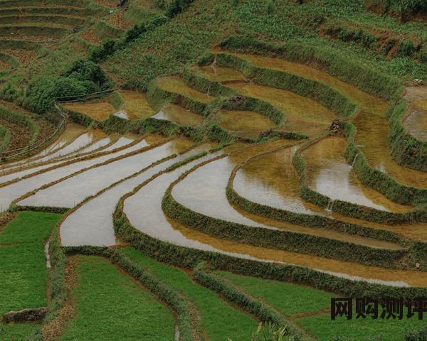 婚纱品牌排名2023 风靡一时的婚纱