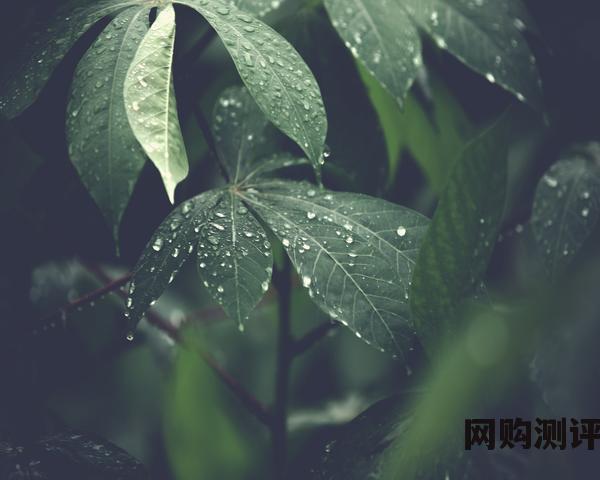 品牌洗衣机排名前十名 2023年8月京东洗衣机行业品牌销售排行榜（京东数据挖掘）