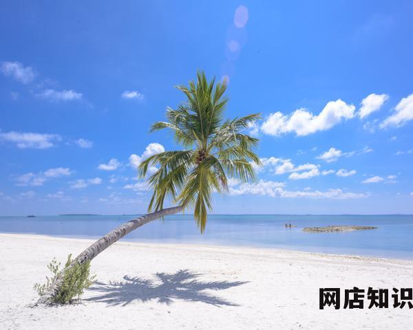 淘宝领优惠券的app有哪些（专门领淘宝优惠券的软件）